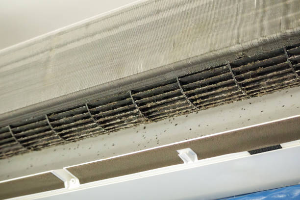 Best Air Quality Test  in Emsworth, PA